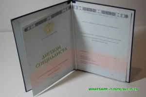 Купить диплом Тамбовского филиала РосНОУ — Российского нового университета в Грозном